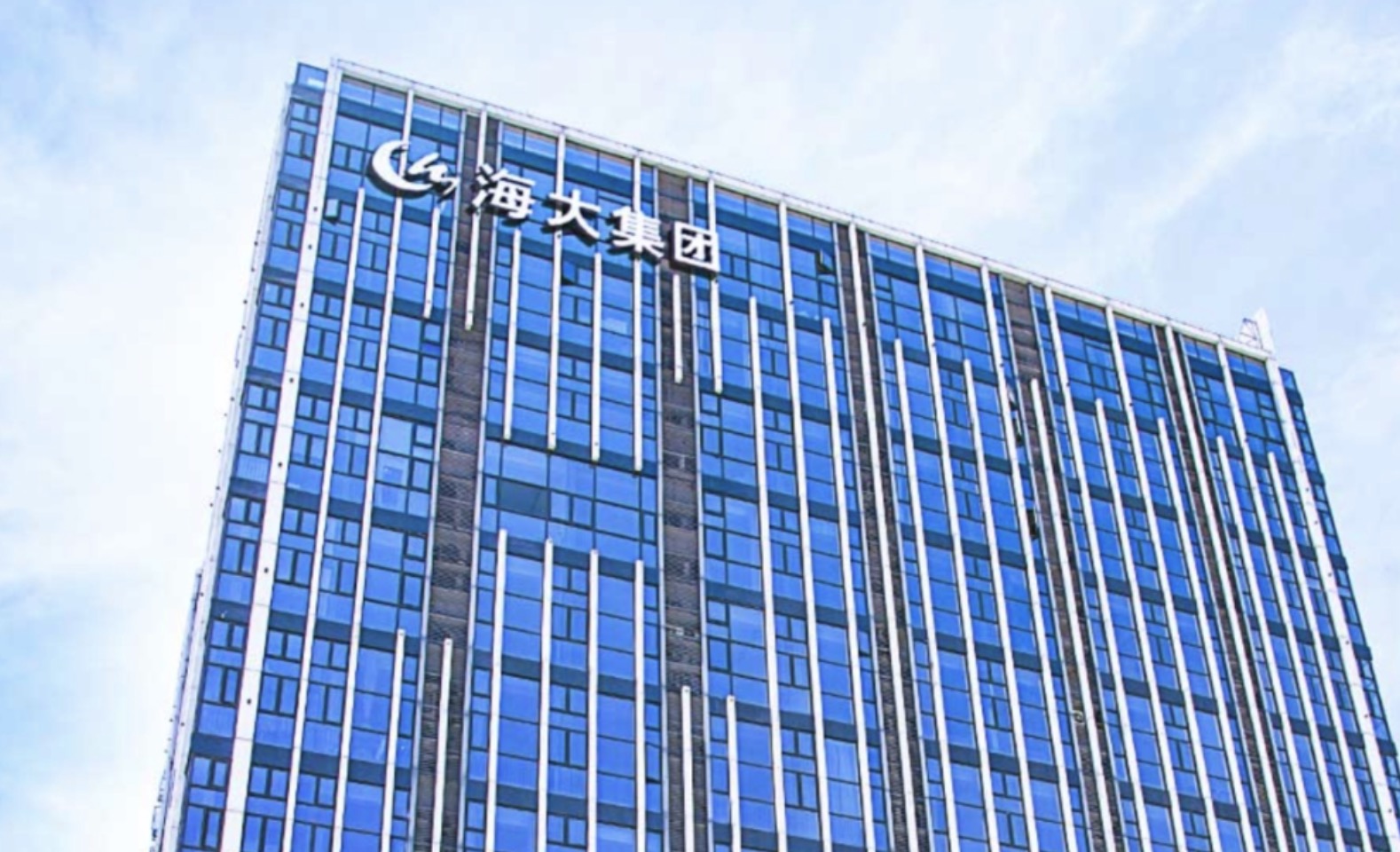 海大集团服务营销变革系列项目（持续超过6年）